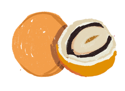 Dark Chocolate Hazelnut