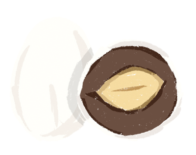 Almon Gianduja Chocolate